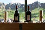 Hawke's Bay Wine Tour - Full Day