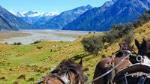High Country Station Pioneering Clydesdale Experience & Scenic Day Tour from Christchurch