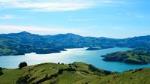 Akaroa & Banks Peninsula Wild Penguins Eco-Tour from Christchurch