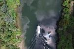 Waikato River Cafe Cruise