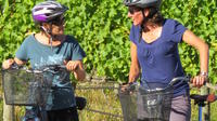 6-Hour Marlborough Wine Region Guided Bike Tour
