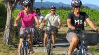 Deluxe Full-Day Marlborough Wine Region Guided Bike Tour