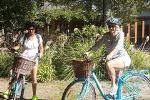 Half Day Guided with Half Day Self-Guided Marlborough Wine Region Bike Tour