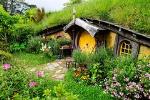 Shore Excursion: Hobbiton and Lord of the Rings Movie Set Tour