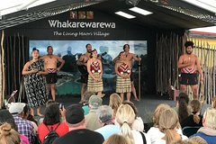 Tauranga Shore Excursion: Rotorua Sightseeing Tour Including Tauranga and Mt. Maunganui
