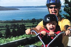 Tauranga Shore Excursion: Rotorua & Tauranga Highlights Tour Gondola & Luge ride