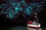 Private Shore Excursion: Waitomo Glow Worm Caves Experience from Tauranga