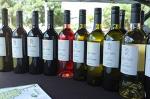 Private Tour: Bay of Islands Tour with Wine Tasting