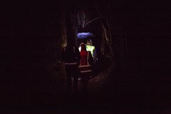 Nocturnal adventure Glow-worm tour