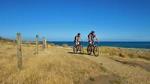 Wild Coast Cruiser Remutaka Cycle Tour (8 Hours)