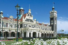 Shore Excursion: Dunedin Highlights Small-Group Tour