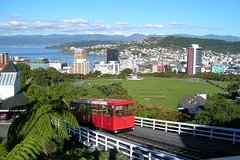 Shore Excursion: Wellington Highlights Small-Group Tour
