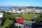 Shore Excursion: Wellington Highlights Small-Group Tour