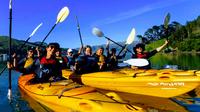 Shore Excursion: Scenic Cruiser Sea Kayaking Safaris in Akaroa